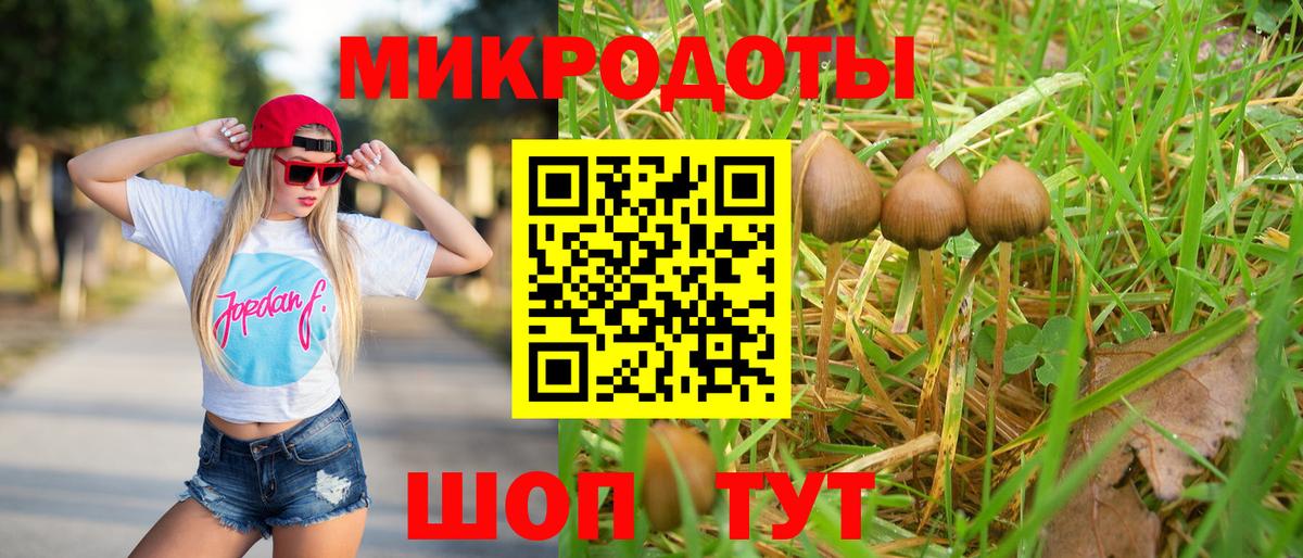 Псилоцибиновые грибы мухоморы Воркута